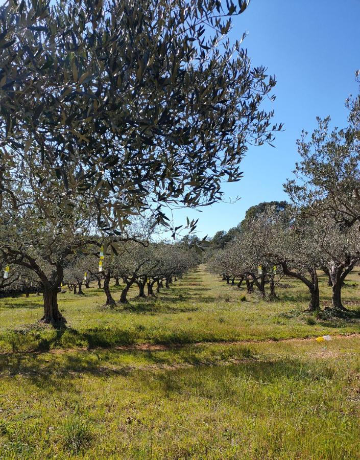 Les Hauts Du Peireguier La Motte Exteriér fotografie